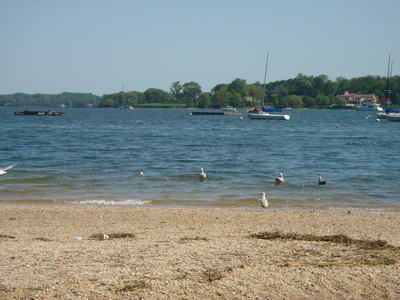 d0100880_1958467.jpg