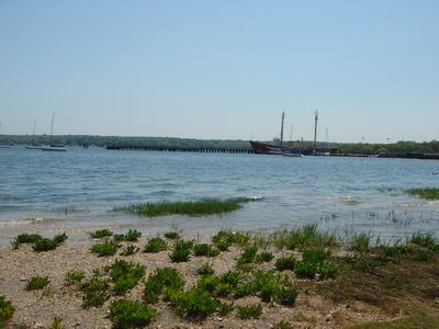 d0100880_19591172.jpg