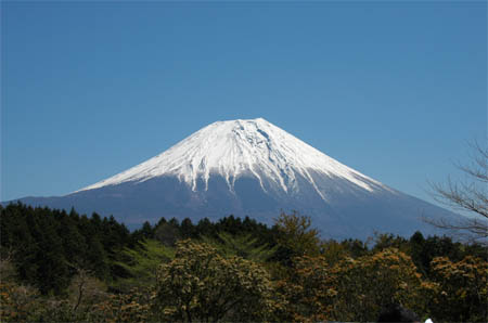 e0102491_83478.jpg