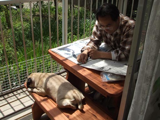 5月14日 肉巻きおにぎり_f0019498_20554172.jpg