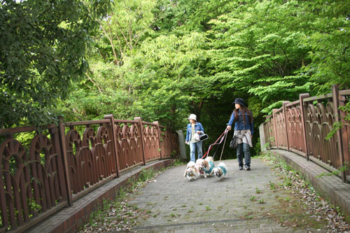 5月14日　4ページ目　辻村植物公園_c0011204_2215661.jpg