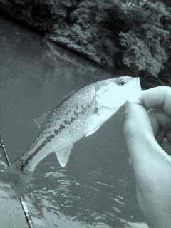 a0049715_0381447.jpg