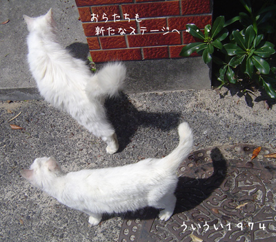 おはようございます_c0057821_9505725.jpg