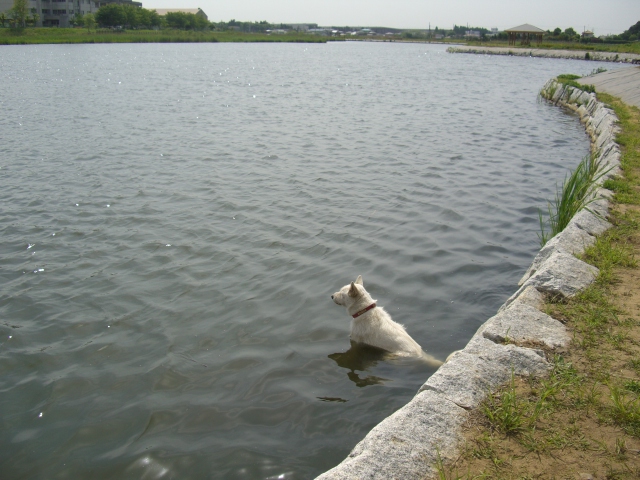 c0123029_17370.jpg