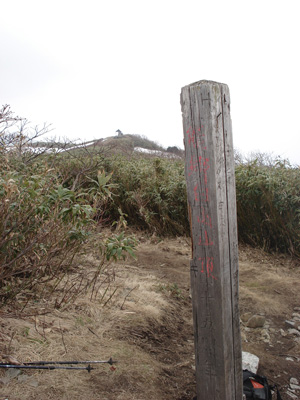 d0055236_18292184.jpg