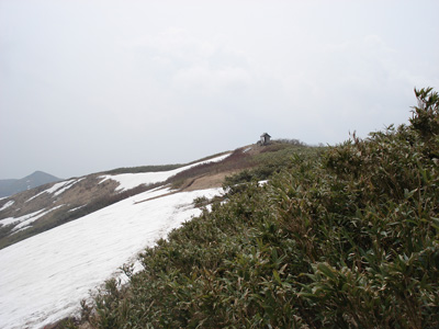 d0055236_1829523.jpg