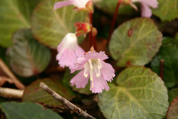 d0055236_18332559.jpg