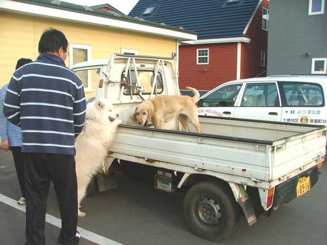 はじめての動物病院へ♪_a0057237_20469.jpg