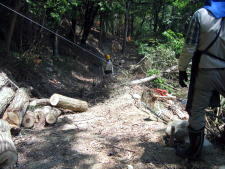 e0049740_20571238.jpg