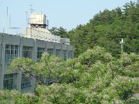 c0108460_21234765.jpg