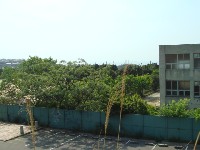 c0108460_21243694.jpg