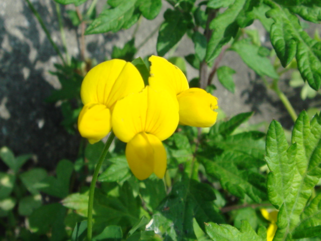 c0108460_21255629.jpg