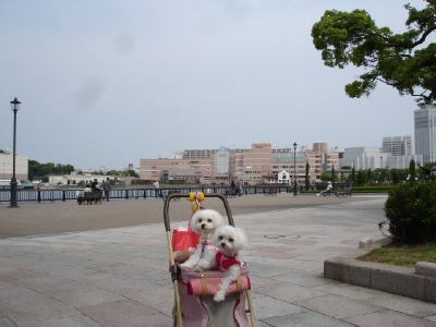 b0001465_18594584.jpg