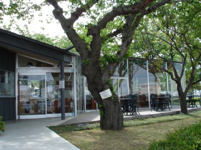 b0001465_191296.jpg