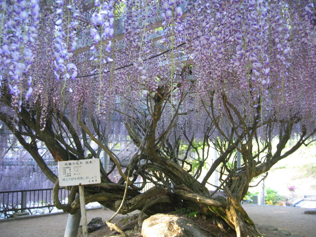 田舎編　　村の守護神　惣五郎様_c0093377_21474839.jpg