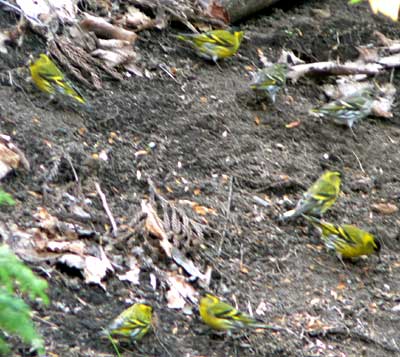 f0083977_20585055.jpg