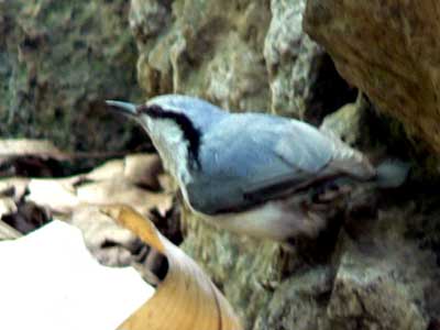 f0083977_2125092.jpg