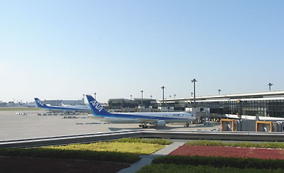 d0031378_1951845.jpg