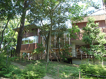 d0031378_1962367.jpg