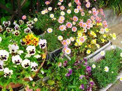 c0078480_22503364.jpg