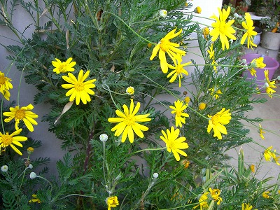 c0078480_23214468.jpg