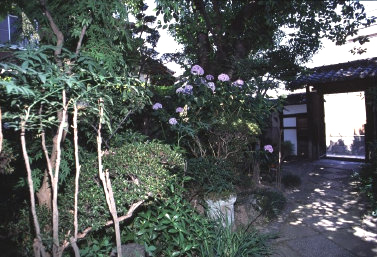 洛西観音巡礼<第17番 慈眼山 萬福寺>_a0045381_23572858.jpg