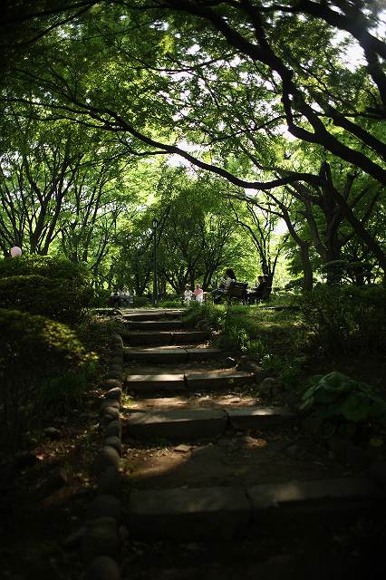 初夏の風　in日比谷公園_b0097892_8211176.jpg