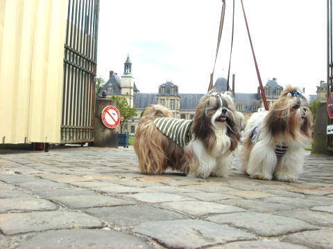c0090198_653558.jpg