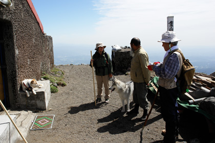 ５月１４日　ツツジはまだかいな～♪ｉｎ　Ｍｔ．Ｔａｋａｃｈｉｈｏ_c0049299_12262487.jpg