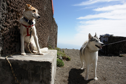 5月14日 ツツジはまだかいな~♪in Mt.Takachiho_c0049299_1227166.jpg