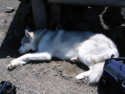 ５月１４日　ツツジはまだかいな～♪ｉｎ　Ｍｔ．Ｔａｋａｃｈｉｈｏ_c0049299_12275893.jpg