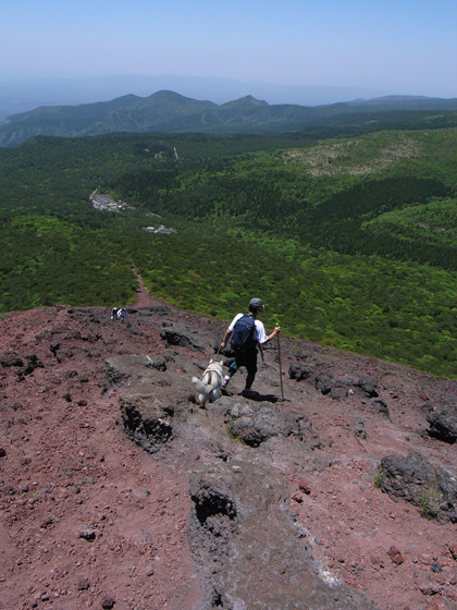 ５月１４日　ツツジはまだかいな～♪ｉｎ　Ｍｔ．Ｔａｋａｃｈｉｈｏ_c0049299_1229577.jpg