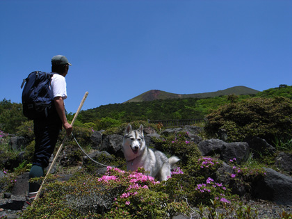 5月14日 ツツジはまだかいな~♪in Mt.Takachiho_c0049299_12301534.jpg