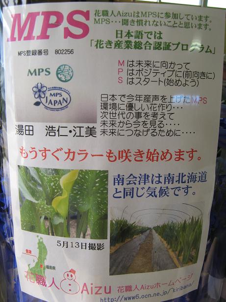 MPS通信_d0099708_4494220.jpg