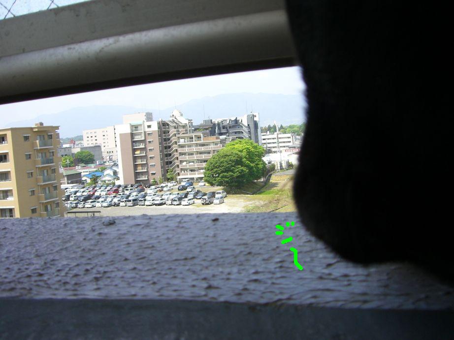 c0113109_3282895.jpg