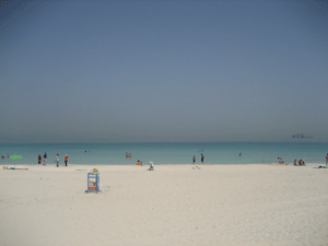 d0038319_11154317.gif