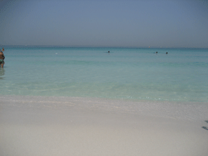 d0038319_11183315.gif