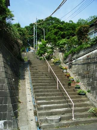 d0083523_1111512.jpg