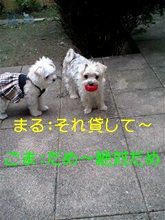 e0079125_10203731.jpg