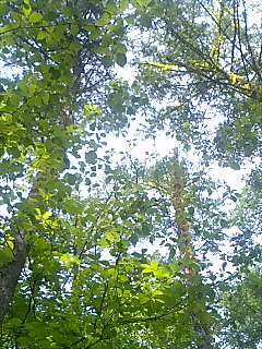 f0077325_92417.jpg