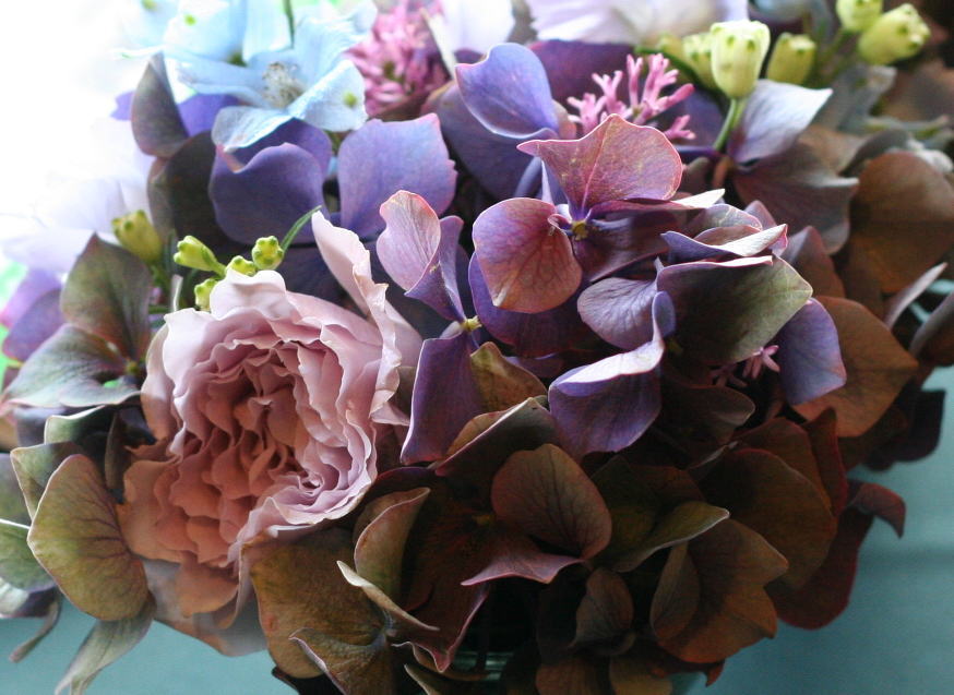 花のしみについて　　生きている花_a0042928_072569.jpg
