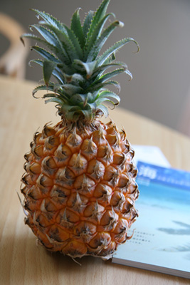 c0024729_2292448.jpg