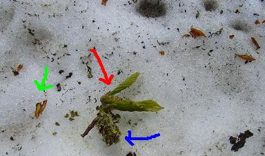 f0118332_22593870.jpg