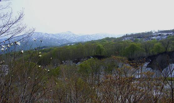 f0118332_2351029.jpg