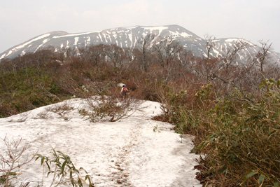 d0055236_12101879.jpg
