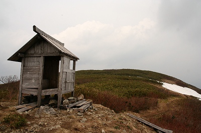 d0055236_1225841.jpg
