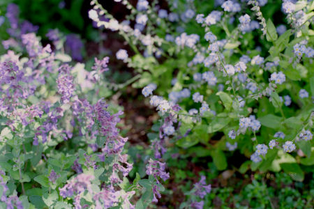 f0114339_19582372.jpg