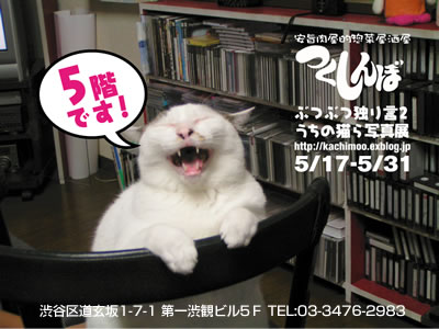 突然ですが、明日から写真展示になりました。_a0028451_21115295.jpg