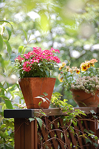 e0088576_11271099.jpg