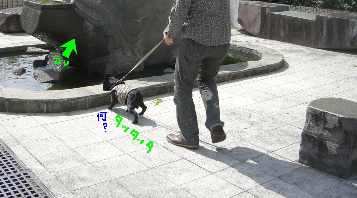 c0113109_2384439.jpg